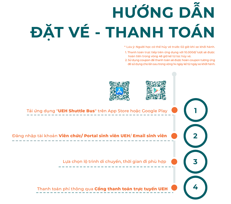 cá cược thể thao hul city